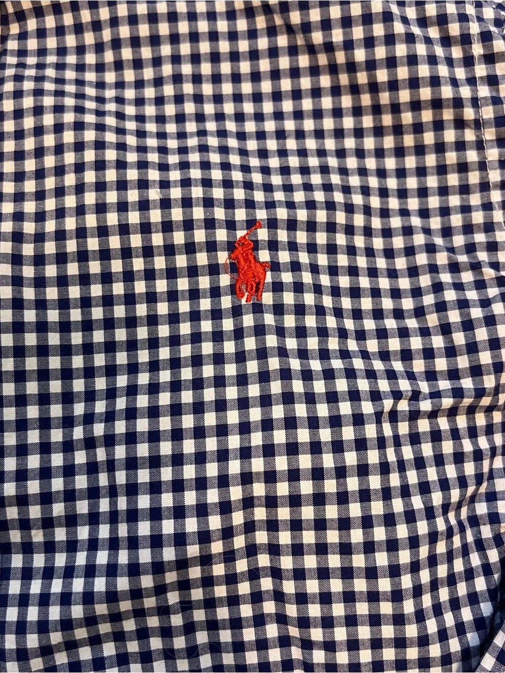Ralph Lauren Kids’ Blue Gingham Button-Down Shirt size L with Red Horse